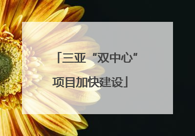 三亚“双中心”项目加快建设
