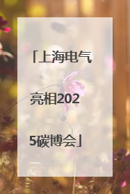 上海电气亮相2025碳博会
