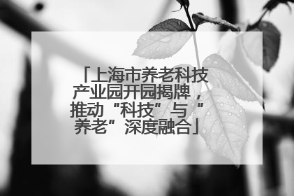 上海市养老科技产业园开园揭牌，推动“科技”与“养老”深度融合