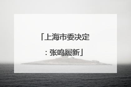 上海市委决定：张鸣履新