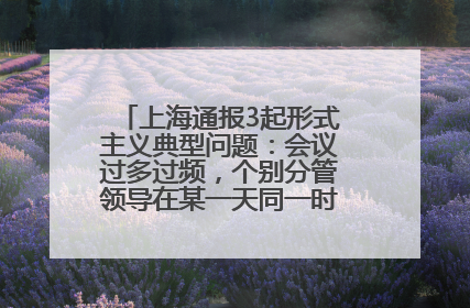 上海通报3起形式主义典型问题：会议过多过频，个别分管领导在某一天同一时段需参加3个会议