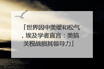 世界因中美缓和松气，埃及学者直言：美搞关税战损其领导力