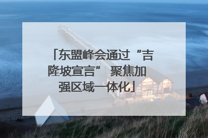 东盟峰会通过“吉隆坡宣言” 聚焦加强区域一体化