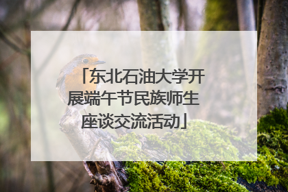 东北石油大学开展端午节民族师生座谈交流活动