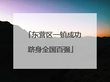 东营区一镇成功跻身全国百强