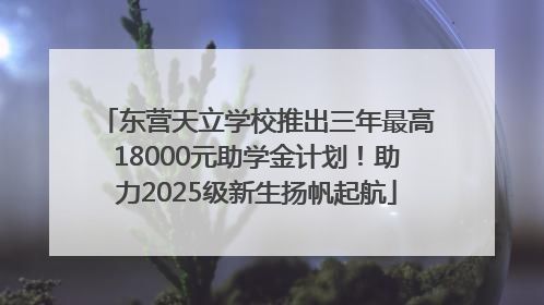 东营天立学校推出三年最高18000元助学金计划！助力2025级新生扬帆起航
