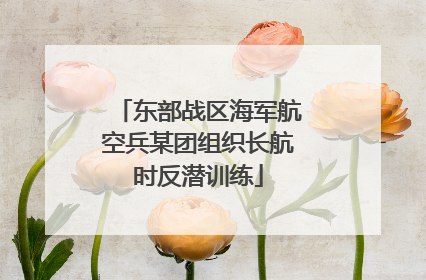 东部战区海军航空兵某团组织长航时反潜训练