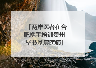 两岸医者在合肥携手培训贵州毕节基层医师