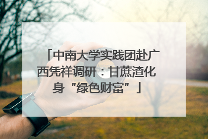 中南大学实践团赴广西凭祥调研：甘蔗渣化身“绿色财富”