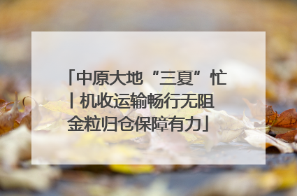 中原大地“三夏”忙丨机收运输畅行无阻 金粒归仓保障有力