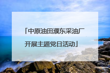 中原油田濮东采油厂开展主题党日活动