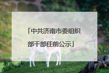 中共济南市委组织部干部任前公示