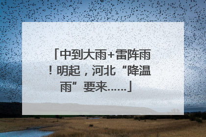 中到大雨+雷阵雨！明起，河北“降温雨”要来……