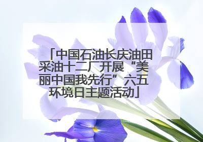 中国石油长庆油田采油十二厂开展“美丽中国我先行”六五环境日主题活动