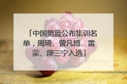 中国男篮公布集训名单，周琦、曾凡博、雷蒙、廖三宁入选