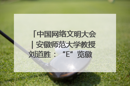中国网络文明大会｜安徽师范大学教授刘道胜：“E”览徽风，构筑中华民族共有精神家园