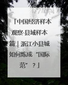 中国经济样本观察·县域样本篇｜浙江小县城如何炼成“国际范”？