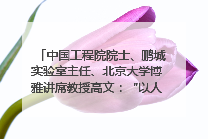 中国工程院院士、鹏城实验室主任、北京大学博雅讲席教授高文：“以人为本 智能向善” 推动文化与科技相生相促｜聚焦2025文化强国建设高峰论坛