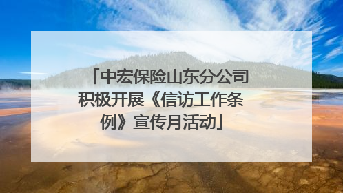 中宏保险山东分公司积极开展《信访工作条例》宣传月活动