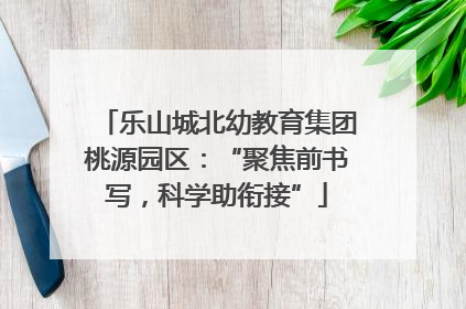 乐山城北幼教育集团桃源园区：“聚焦前书写，科学助衔接”