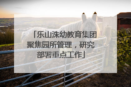 乐山洙幼教育集团聚焦园所管理，研究部署重点工作