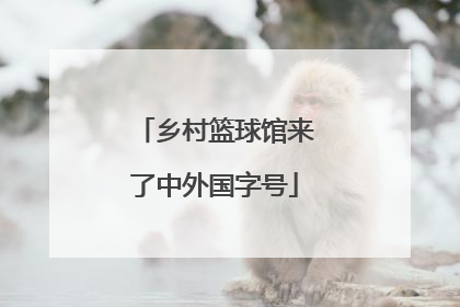 乡村篮球馆来了中外国字号