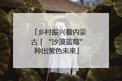 乡村振兴看内蒙古｜“沙漠蓝莓”种出紫色未来