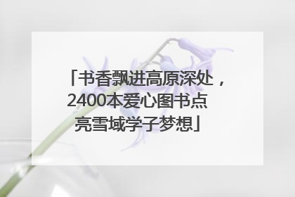 书香飘进高原深处，2400本爱心图书点亮雪域学子梦想