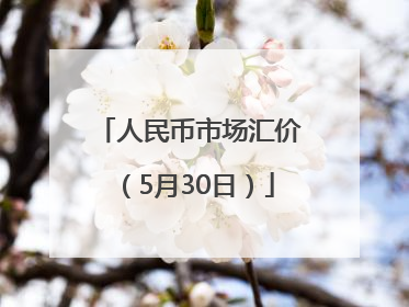 人民币市场汇价（5月30日）