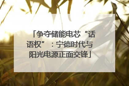 争夺储能电芯“话语权”：宁德时代与阳光电源正面交锋