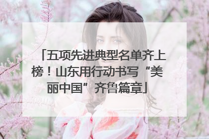 五项先进典型名单齐上榜！山东用行动书写“美丽中国”齐鲁篇章