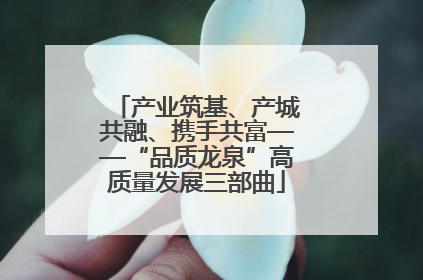 产业筑基、产城共融、携手共富——“品质龙泉”高质量发展三部曲