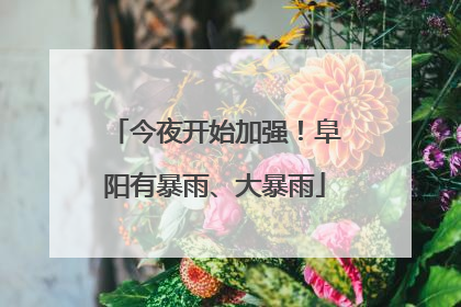 今夜开始加强！阜阳有暴雨、大暴雨