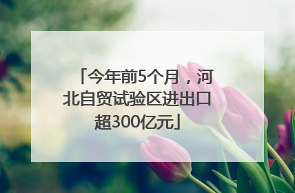 今年前5个月，河北自贸试验区进出口超300亿元