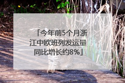 今年前5个月浙江中欧班列发运量同比增长约8%