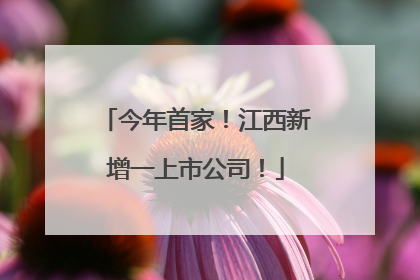 今年首家！江西新增一上市公司！