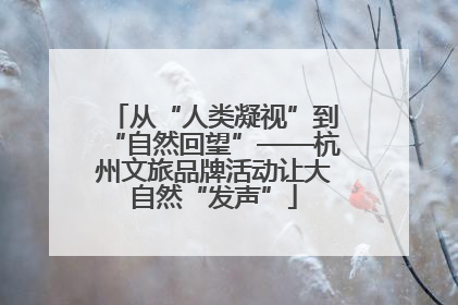 从“人类凝视”到“自然回望”——杭州文旅品牌活动让大自然“发声”