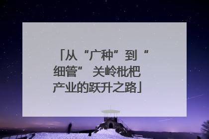 从“广种”到“细管” 关岭枇杷产业的跃升之路