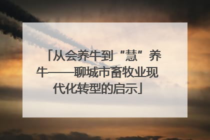 从会养牛到“慧”养牛——聊城市畜牧业现代化转型的启示