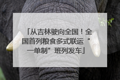 从吉林驶向全国！全国首列粮食多式联运“一单制”班列发车