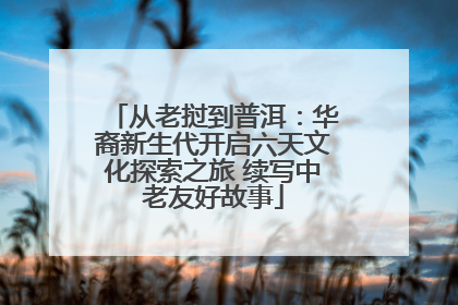 从老挝到普洱：华裔新生代开启六天文化探索之旅 续写中老友好故事