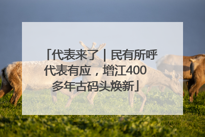 代表来了｜民有所呼代表有应，增江400多年古码头焕新