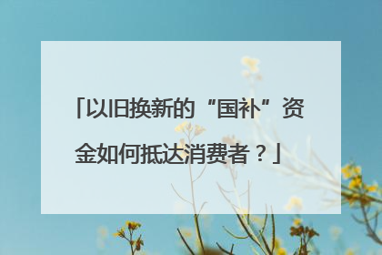 以旧换新的“国补”资金如何抵达消费者？