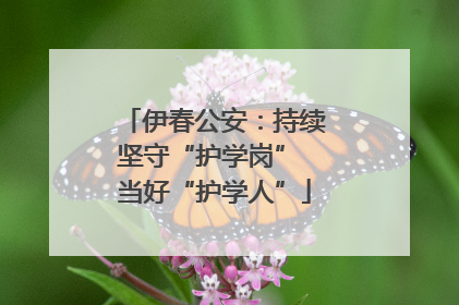 伊春公安：持续坚守“护学岗” 当好“护学人”