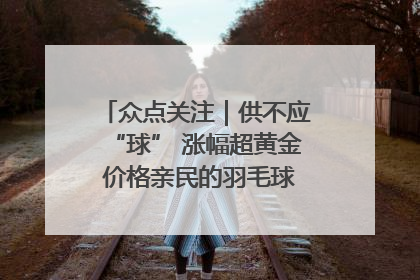 众点关注｜供不应“球” 涨幅超黄金 价格亲民的羽毛球为何身价飞涨？