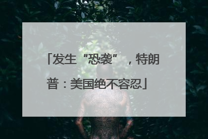 发生“恐袭”，特朗普：美国绝不容忍