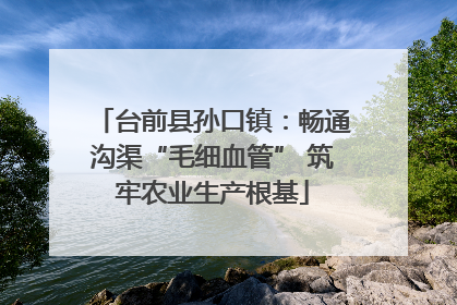 台前县孙口镇：畅通沟渠“毛细血管” 筑牢农业生产根基