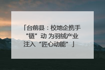 台前县：校地企携手“链”动 为羽绒产业注入“匠心动能”