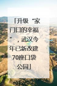 升级“家门口的幸福”，武汉今年已新改建70座口袋公园