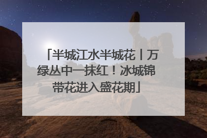 半城江水半城花丨万绿丛中一抹红！冰城锦带花进入盛花期